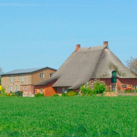 Ferienwohnung Hof Triangel - Whg 2 - Bauernhofurlaub mit Streicheltieren und Treckerfahren Riepsdorf Exterior foto