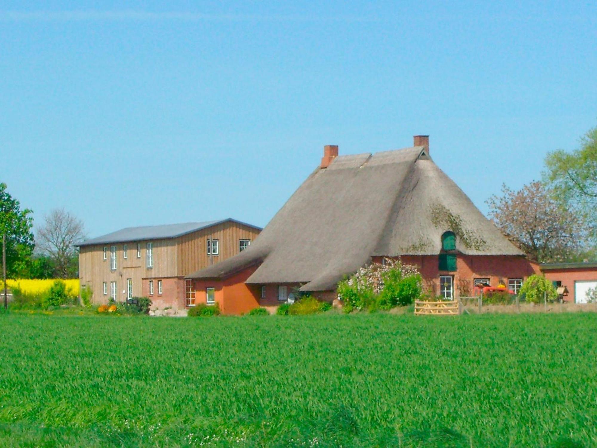 Ferienwohnung Hof Triangel - Whg 2 - Bauernhofurlaub mit Streicheltieren und Treckerfahren Riepsdorf Exterior foto